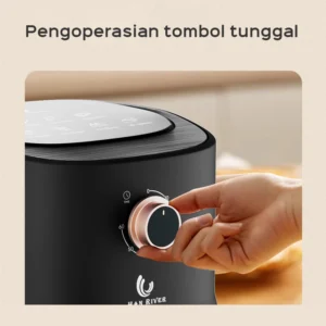 air fryer serbaguna