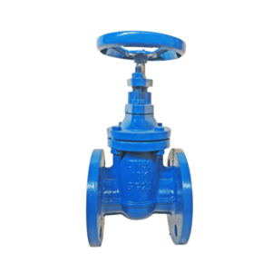 Gate Valve GG25 JIS 10K DN50 2 Inch BRACO Gate Valve GG25 JIS 10K DN50 2 Inch BRACO